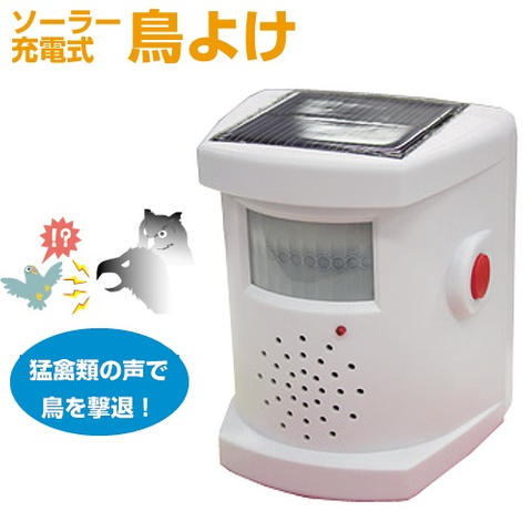 Solar Powered Predatory Bird Repeller
