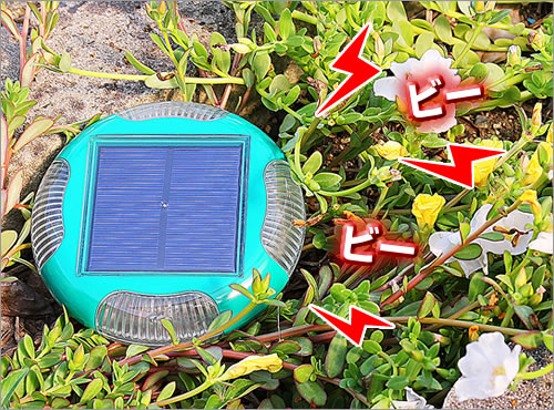 Solar Powered Snake & Mole Repeller