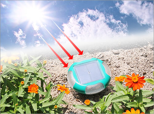 Solar Powered Mole Repeller with Red LED Flashing