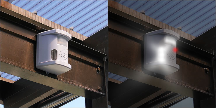 Solar Powered Wild Boar/ Deer/ Monkey Repeller