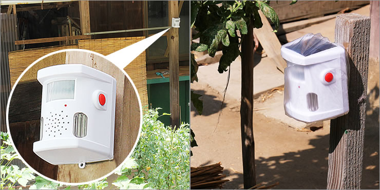 Solar Powered Wild Boar/ Deer/ Monkey Repeller